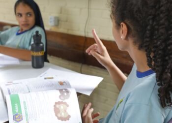 Diretores de escolas têm até este domingo para enviar diagnóstico