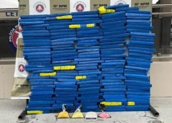 PM apreende mais de 180 tabletes de maconha em terreno na Bahia