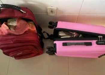 PRF prende mulher com 13Kg de maconha em ônibus na Bahia