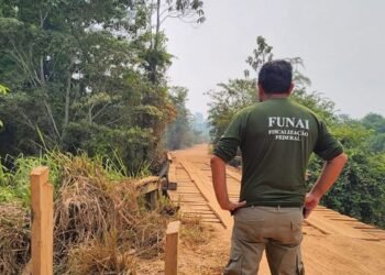 Governo autoriza Funai a contratar 1,9 mil servidores temporários