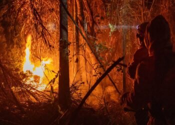 Brasil registra em 2024 aumento de 79% de áreas queimadas