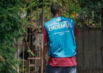 SP tem recorde de 2,1 milhões de casos confirmados de dengue em 2024