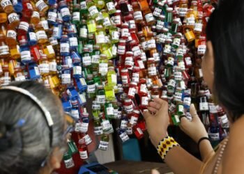 Empresários da Amazônia buscam protagonismo na COP30