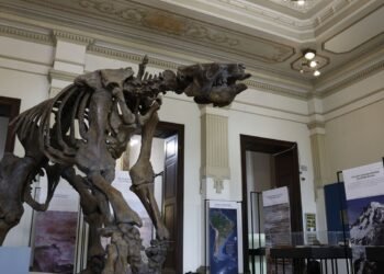 Museu de Ciências da Terra será revitalizado no Rio