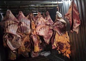 Suspeitos de vender carne estragada têm prisão preventiva decretada