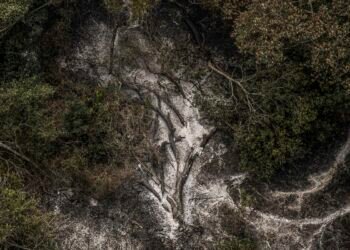 AGU cobra R$ 725 milhões de acusados por danos ambientais no Pantanal