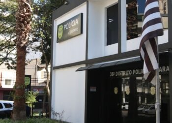 SP fecha ano de 2024 com recorde em casos de estupros