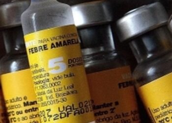 Saúde confirma casos de febre amarela em macacos em município paulista