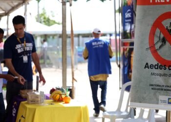 Casos de dengue no Brasil caem 60% nas primeiras semanas do ano