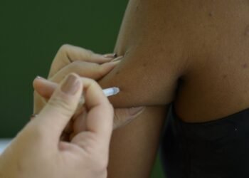 Ministério alerta para alta de casos de febre amarela em 4 estados