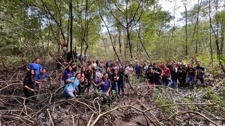 Projeto Mangues da Amazônia/Divulgação Brasília (DF) 28/01/2025 - Educação Ambiental aproxima estudantes do maior manguezal do planeta.
Foto: Projeto Mangues da Amazônia/Divulgação