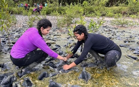 Projeto Mangues da Amazônia/Divulgação Brasília (DF) 28/01/2025 - Educação Ambiental aproxima estudantes do maior manguezal do planeta.
Foto: Projeto Mangues da Amazônia/Divulgação