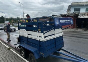 SEMAN realiza fiscalização e apreende animal solto na BA-522 – Prefeitura Municipal de Candeias.