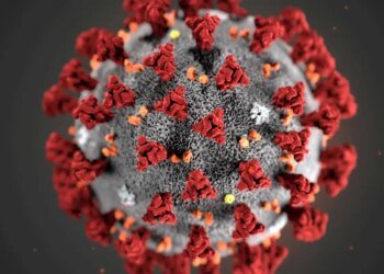 Covid-19: primeiro caso foi confirmado em São Paulo há cinco anos