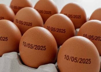 Agricultura suspende determinação de carimbar data de validade em ovos