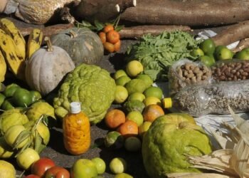 Decreto institui Desenrola Rural que ajudará 1,3 milhão de famílias