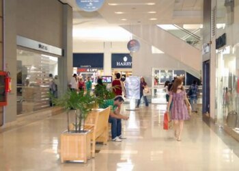 Mercado de franquias cresce 13,5% e fatura R$ 273 bilhões em 2024