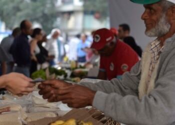 Programa Desenrola Rural entra em vigor nesta segunda-feira
