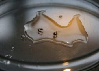 Campanha de mobilização contra dengue nas escolas começa nesta segunda