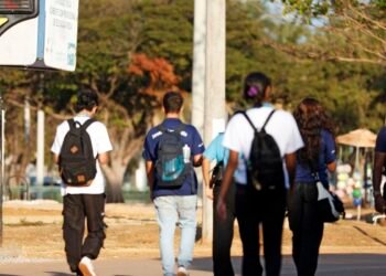 Consulta pública recebe sugestões sobre taxonomia sustentável no país