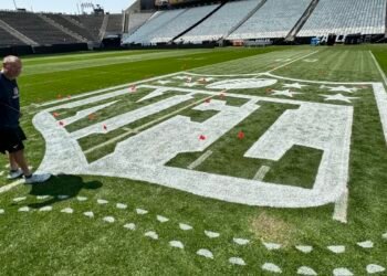 Liga de Futebol Americano volta a jogar em São Paulo