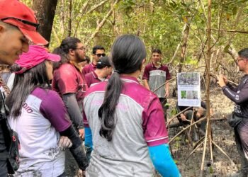 Educação ambiental aproxima estudantes do maior manguezal do planeta