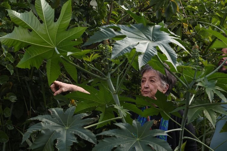 São Paulo (SP), 20/03/2025 - Cecília Pellegrini no Parque Municipal da Fonte com nascente na Travessa da Fonte, Vila Pirajussara.  Foto: Paulo Pinto/Agência Brasil