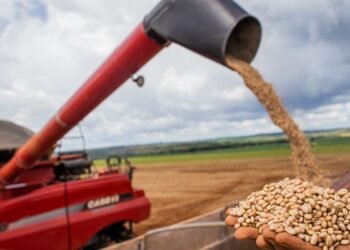 Conab estima safra de grãos acima de 328 milhões de toneladas