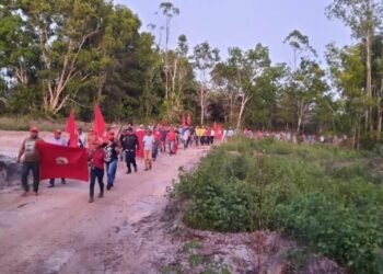 Deputado pede investigação urgente sobre invasões de terra no Sul da Bahia