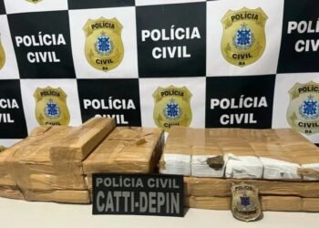Operação da PC baiana apreende 31 quilos de maconha