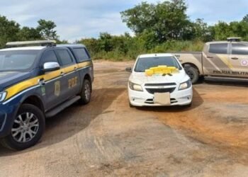 Operação policial prende casal e apreende 13 kg de cocaína na Bahia