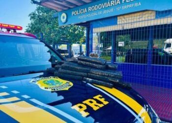 PRF apreende 19 kg de drogas em fiscalização a ônibus na Bahia