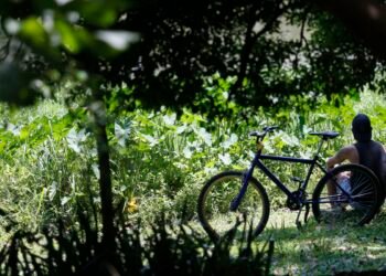 Outono começa com previsão de temperaturas acima de média