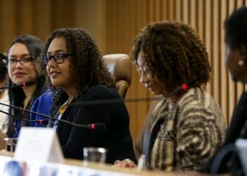 Negros em cargos do Executivo têm origem popular e alta qualificação