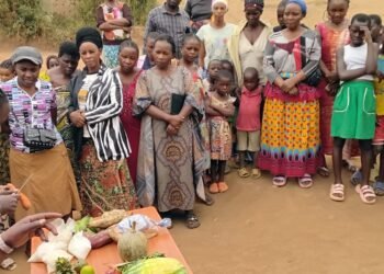 Projeto estimula criação de insetos como fonte de proteína em Uganda