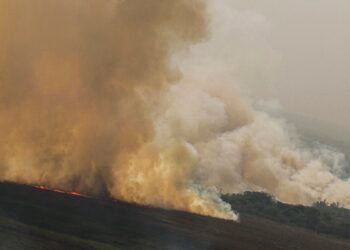 Dino homologa parcialmente plano anti-incêndios na Amazônia e Pantanal