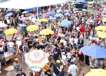 Aplicativo Celular Seguro tem 2,5 mil alertas de bloqueio no carnaval