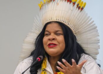 Ministra destaca trabalho inédito na proteção dos povos indígenas