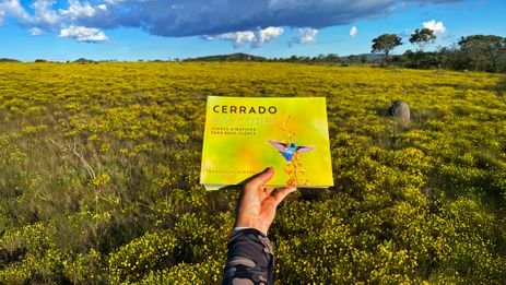 Brasília-DF- 12/04/2025 Flores do Cerrado atrativas para Beija-Flores.Foto Marcelo Kuhlmann