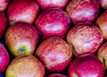 Exportação de frutas cresceu 26% no primeiro trimestre de 2025