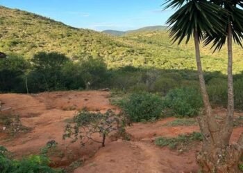 PF cumpre 5 mandados de combate à caça ilegal em Parque Nacional na Bahia