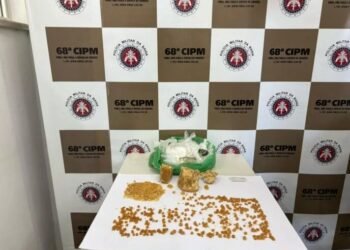 PM apreende 8 armas, munições, carregadores e droga na Bahia