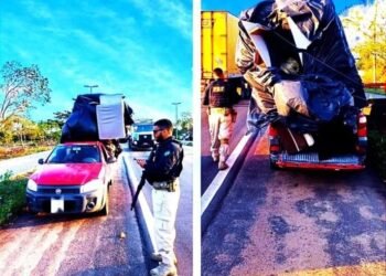 PRF apreende caminhonete que transportava carga irregular na Bahia