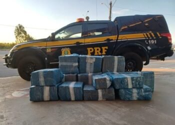 PRF apreende mais de 376 kg de maconha em carro no interior baiano