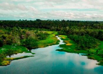 Área de proteção terá trilha ecológica e turismo de base comunitária