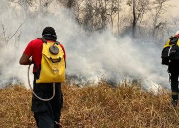 Maranhão terá R$ 45 milhões do Fundo Amazônia para combater incêndios