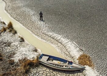 Seca foi mais branda no Norte e Centro-Oeste, revela monitor
