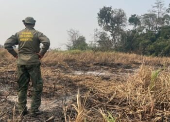 Brasil reduz 70% da área queimada no primeiro trimestre de 2025