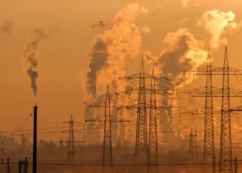 Termina etapa municipal para Conferência Nacional do Meio Ambiente