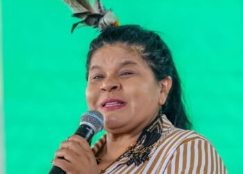 Mudança na demarcação de terras indígenas é retrocesso, diz ministra